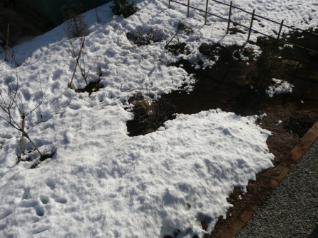 ”庭の残雪　１"