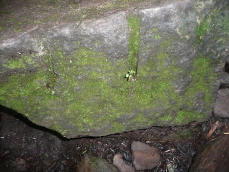６　クサビで割られた跡のある岩