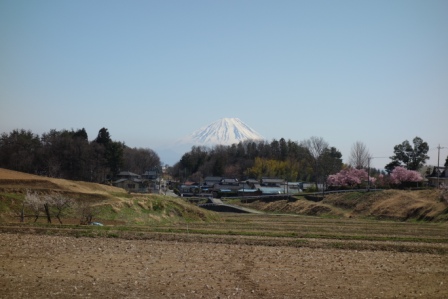 昼食後の散歩　富士山