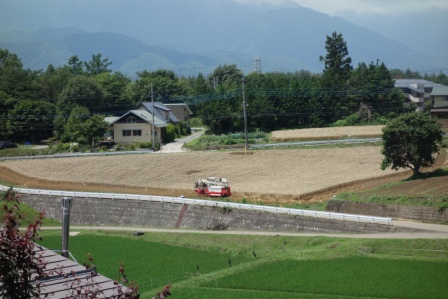 １　麦の収穫風景