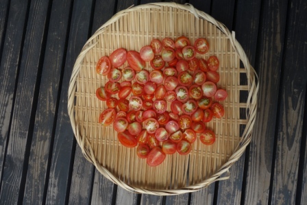干しトマト作り