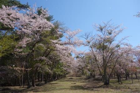 9:55　千本桜公園