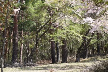 10:05　千本桜公園