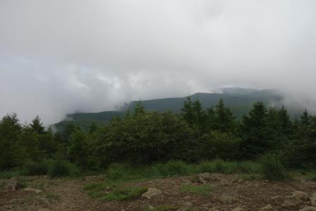 11;38　入笠山頂上より　霧でほとんど何も見えない
