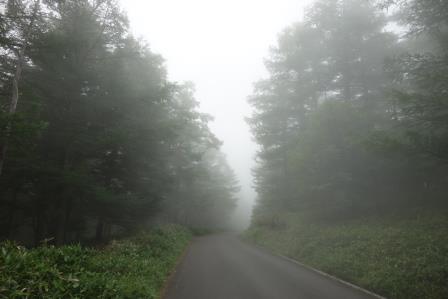 13:46　霧の林道経由でお花畑の麓へ