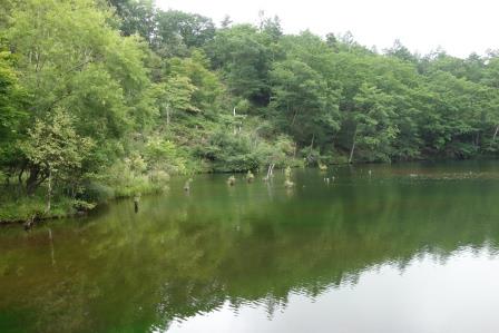 八千穂高原自然園　遊亀湖