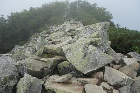 10:56　朝日岳へのアプローチ　緑の地衣類に覆われた岩塊