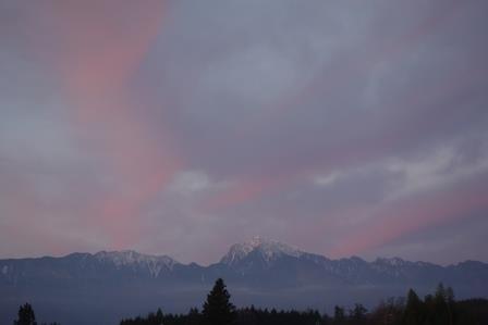 今朝、ピンクに染まる雲