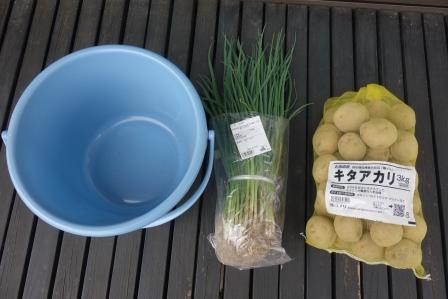 購入したバケツ、九条太葱の苗、キタアカリの種芋