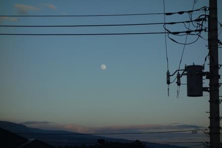 6月8日（木）、夕方６時　東の空に白い月