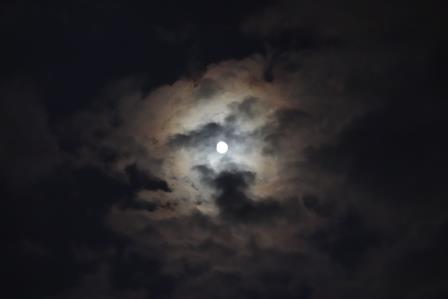 今朝の新聞を読むと、昨夜は中秋の名月とのこと、たまたま撮った月