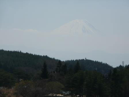 10:50　境小学校の桜並木近くより見た富士山