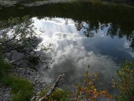 14:50　シルバーフォール（銀の滝）ハイキング　トーネ湖畔沿いの池