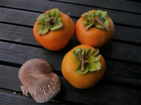 秋の恵み　一個だけで来た椎茸と最後の柿３個収穫