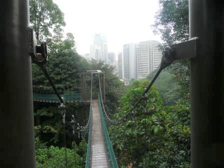 17:21　KLタワーの麓付近にあるジャングルウォーク　雨が降ってきた