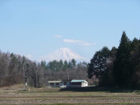 田から見える富士