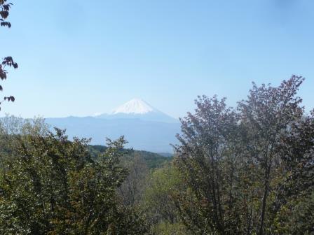 8:49　千本桜公園の壊れた展望台より　富士山