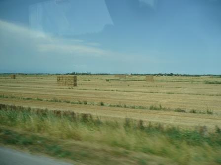 14:43　バスの車窓より、小麦畑か、この他に見えた畑はトウモロコシとブドウ畑