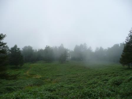 10:59　靄のかかった鞍部の下草が刈られた場所で一休憩、ここより引返す