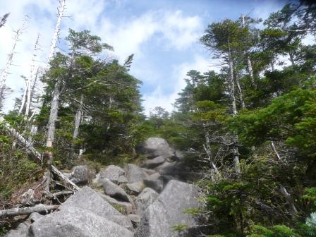11:31　縞枯山展望台への登りは石のジャングルジム