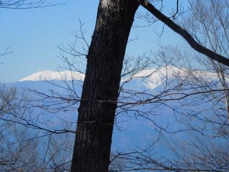 10:54　樹間からしか見ることが出来なかった雪を抱く南アルプス