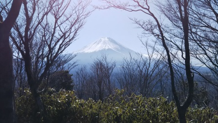 樹間に富士を見ながらの山行