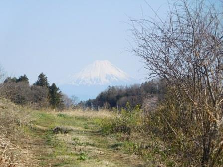 4月5日（日）　午後の散歩　パン屋下の道路から　富士山