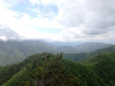 12:25　神座山への山道を30分だけ寄道