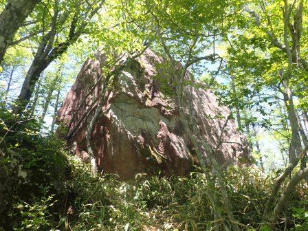 11:51　どこにでもよくある大きな岩、これが豆腐岩