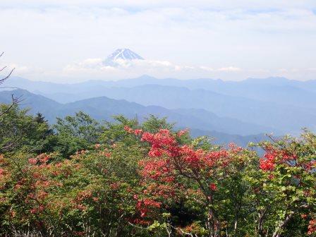 8:58　ハンゼノ頭より、山躑躅と富士山