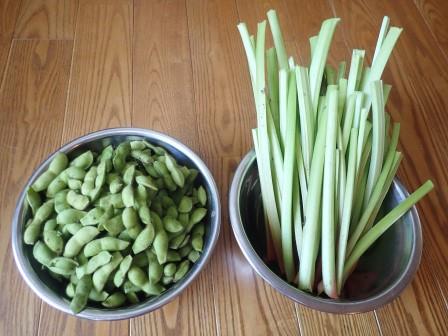 枝豆とルバーブの収穫