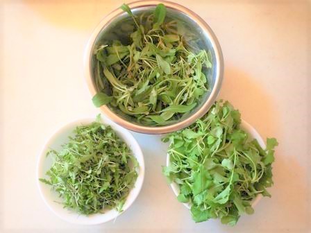 春菊、壬生菜、蕪の間引き菜