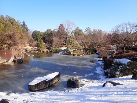山梨県立美術館　池に氷の張る日本庭園