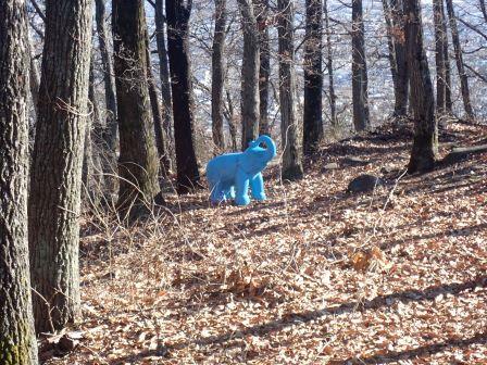 何で、雑木林に青い小象一匹・・・