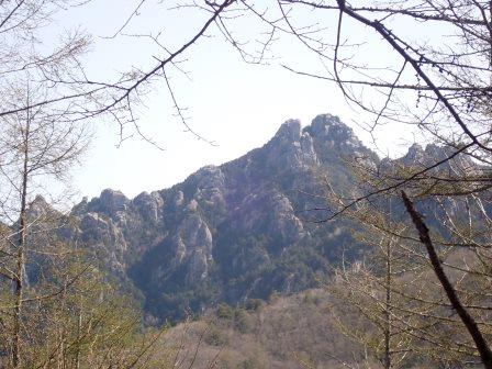 9:00　樹間に瑞牆山の山容を見ながらの山行、魔子の山山頂までは急登