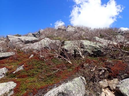 12:45　岩、ハイマツ、ダケカンバ、石楠花で覆われた山肌"