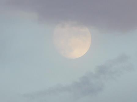 昨夕、久しぶりに白い満月のお目見え