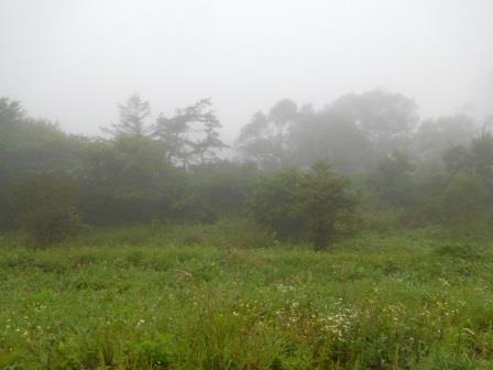 7:52　飯盛山獅子岩駐車場。靄と小雨、飯盛山は諦めて、穂坂自然公園に転進