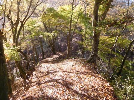 9:02　幾か所か細い山道があり落葉の廻廊の趣