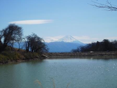 後沢ため池と富士山