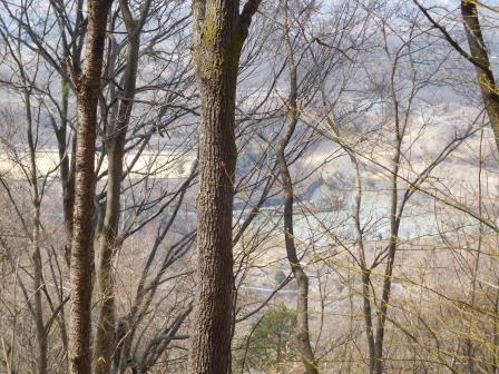 11:19　眼下に、先日梅の香を楽しんだ敷島総合公園と後沢ため池