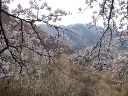 9:40　春霞の山と桜