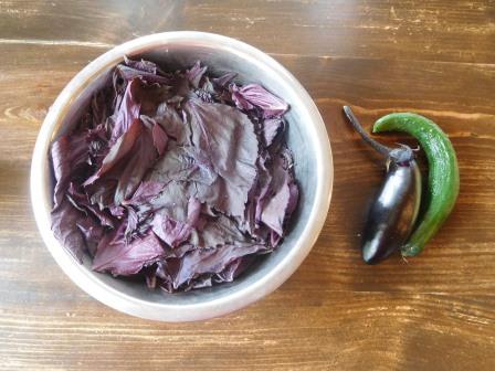 本日24日（金）赤紫蘇、茄子千両２号初収穫