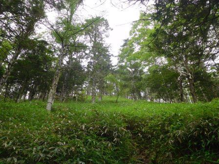 10:58　段々傾斜がきつくなってきた
