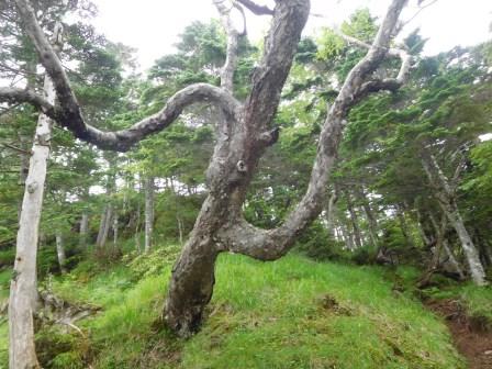 11:52　クネクネ