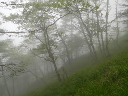 13:21　霧の中を行く
