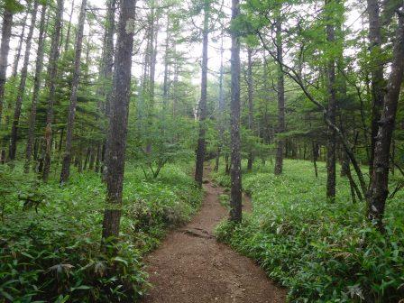 10:50　山頂への登り
