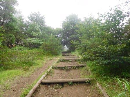 9:28　東屋を過ぎると、開けた山道となる