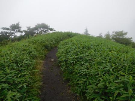 10:35　飯盛山メインルート　平沢山への道すがら