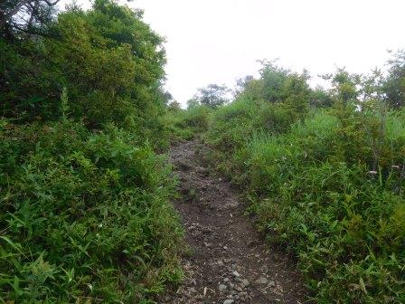 10:43　平沢山への登り